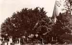 From Churchyard 1933
